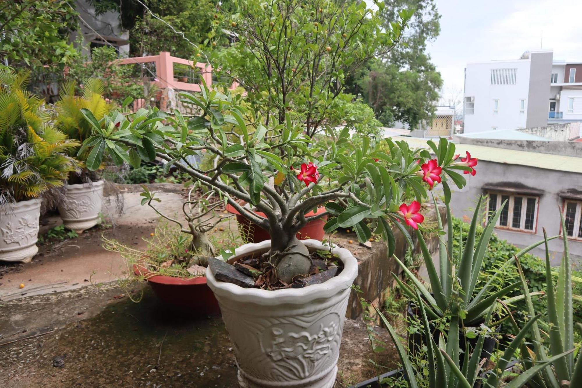 Cassabella Hotel & Apartments Vung Tau Exteriör bild
